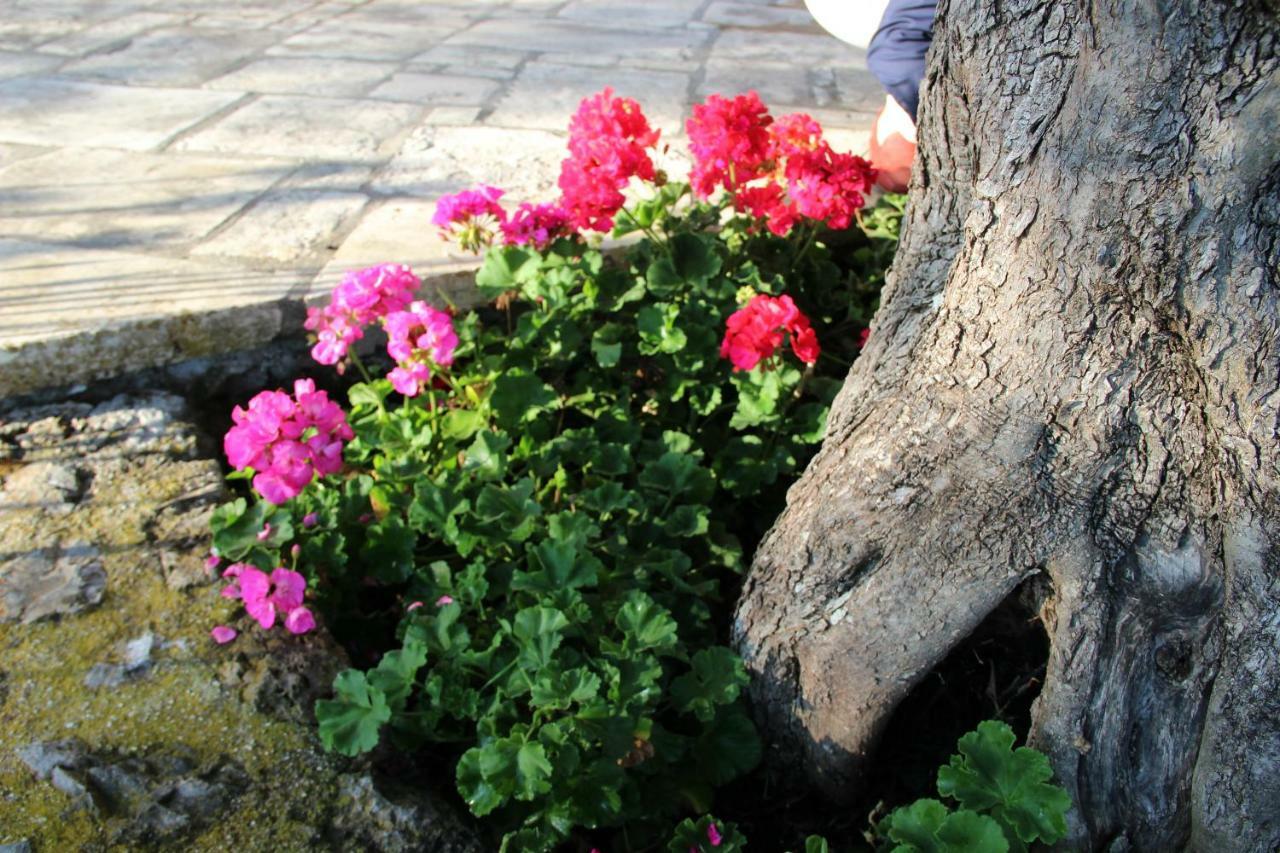 Stone Rose Villa Ágios Ioánnis Exteriör bild