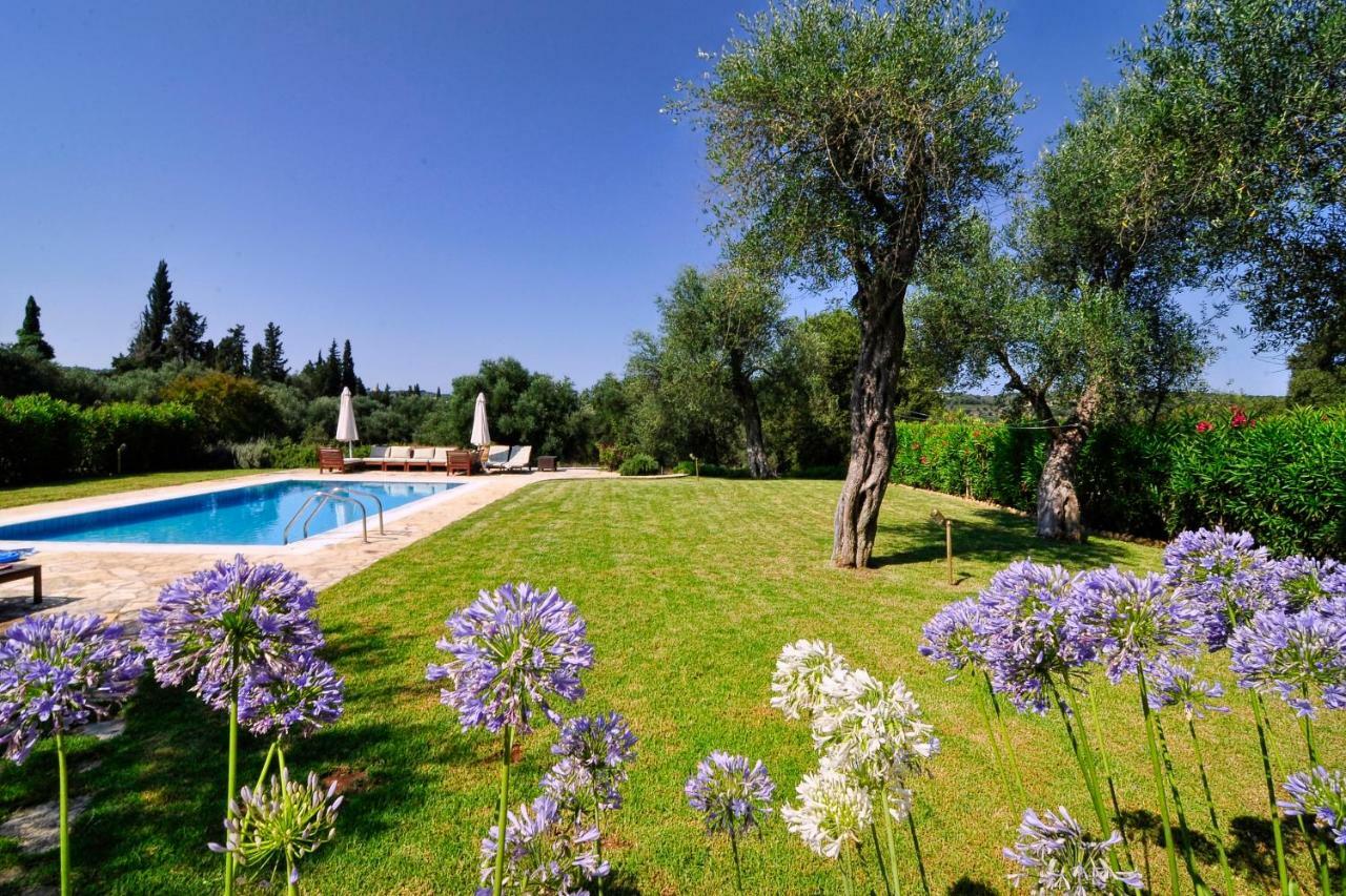 Stone Rose Villa Ágios Ioánnis Exteriör bild
